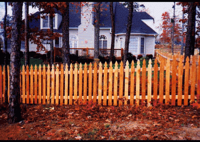 Fencing with pointed-tip wooden planks