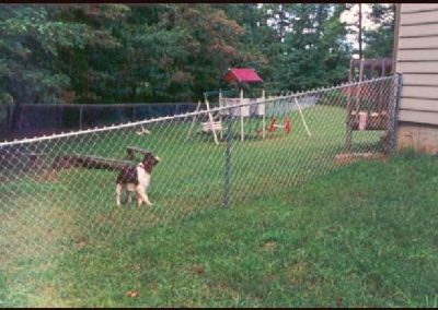 Meshed metal fencing for the safety and enjoyment of pets